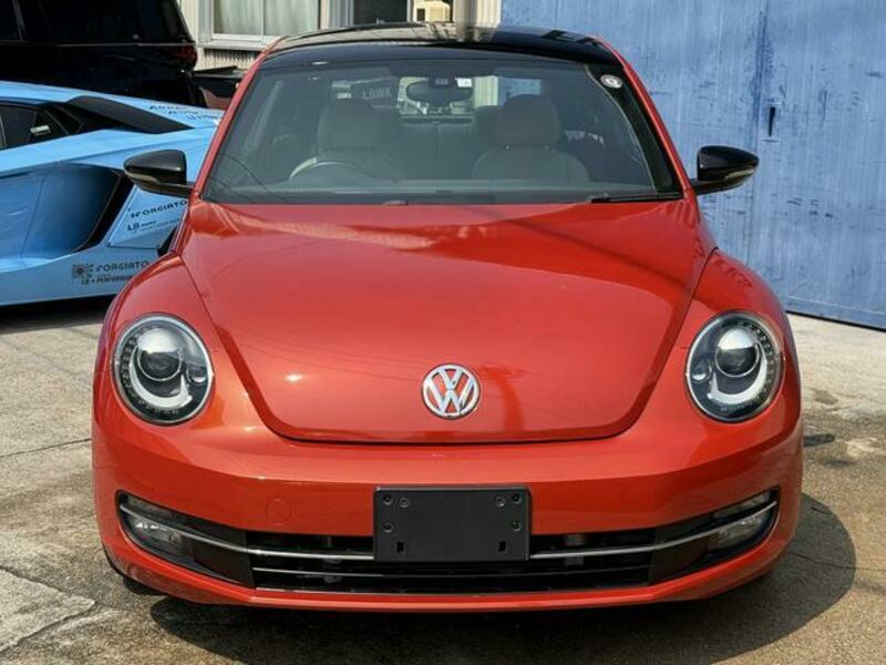 THE BEETLE