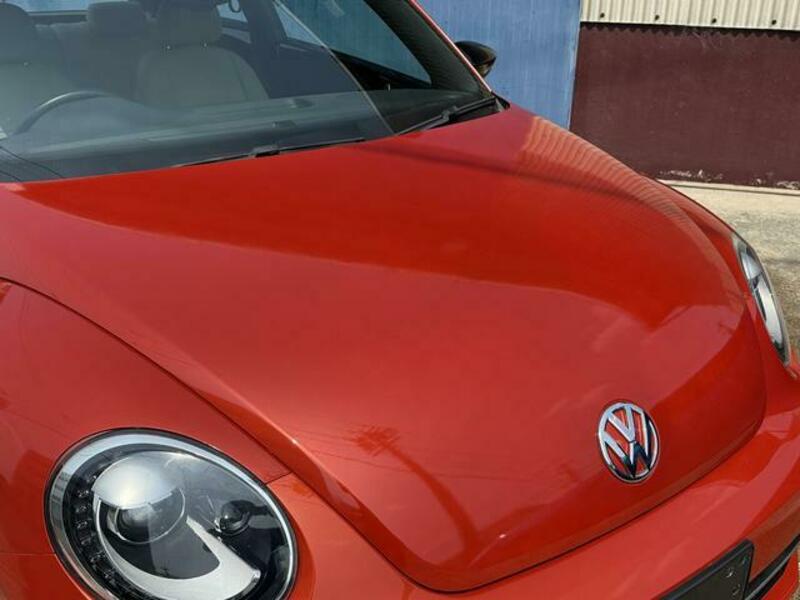 THE BEETLE
