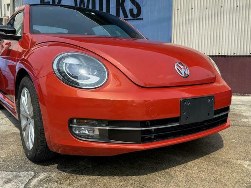 THE BEETLE