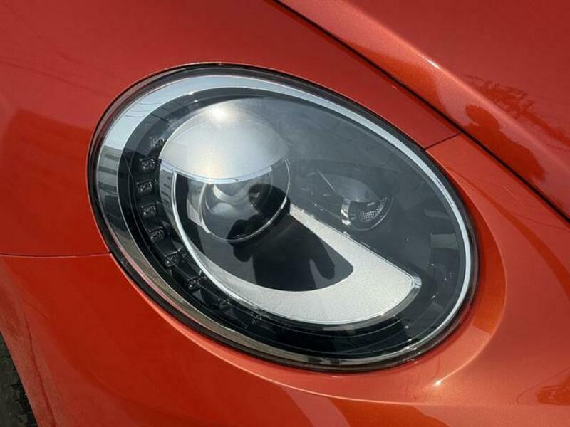 THE BEETLE