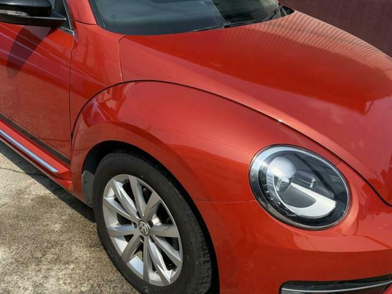 THE BEETLE