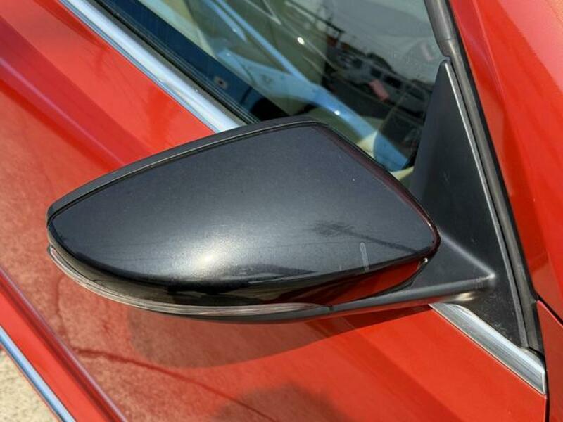THE BEETLE