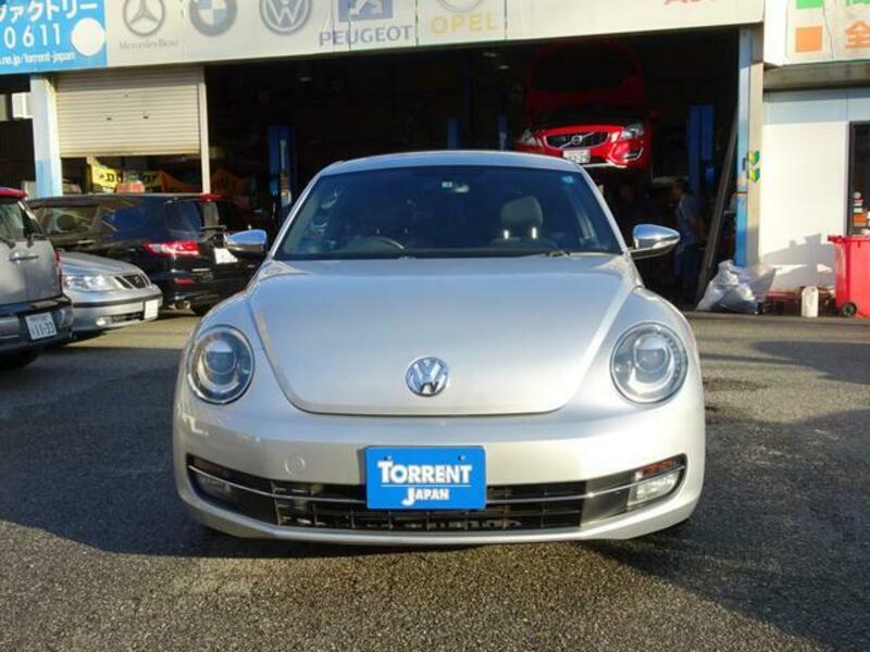 THE BEETLE