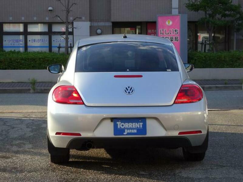 THE BEETLE
