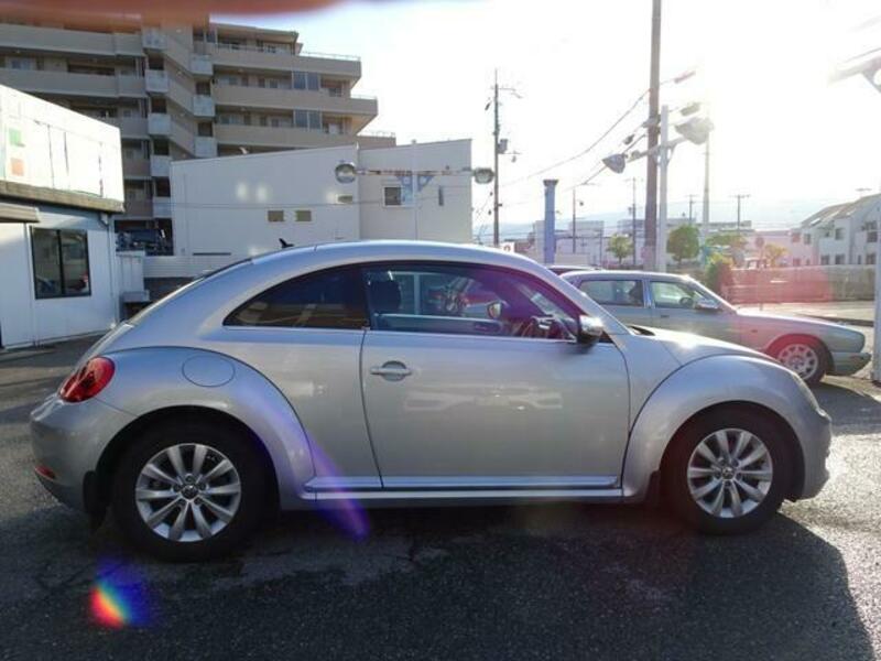 THE BEETLE