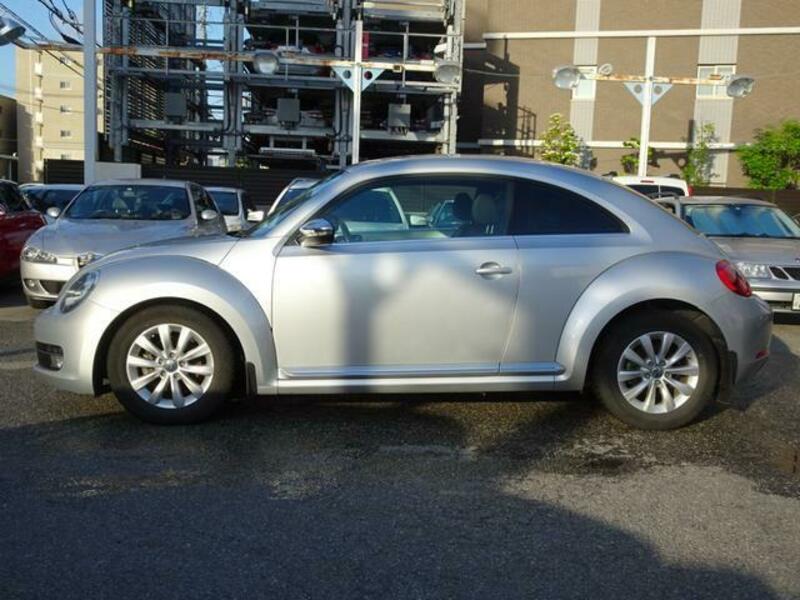 THE BEETLE
