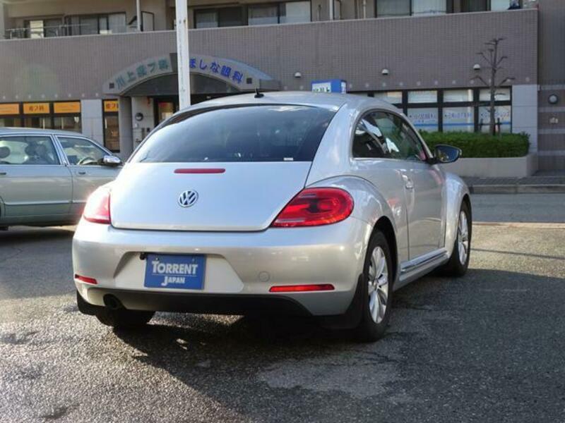 THE BEETLE