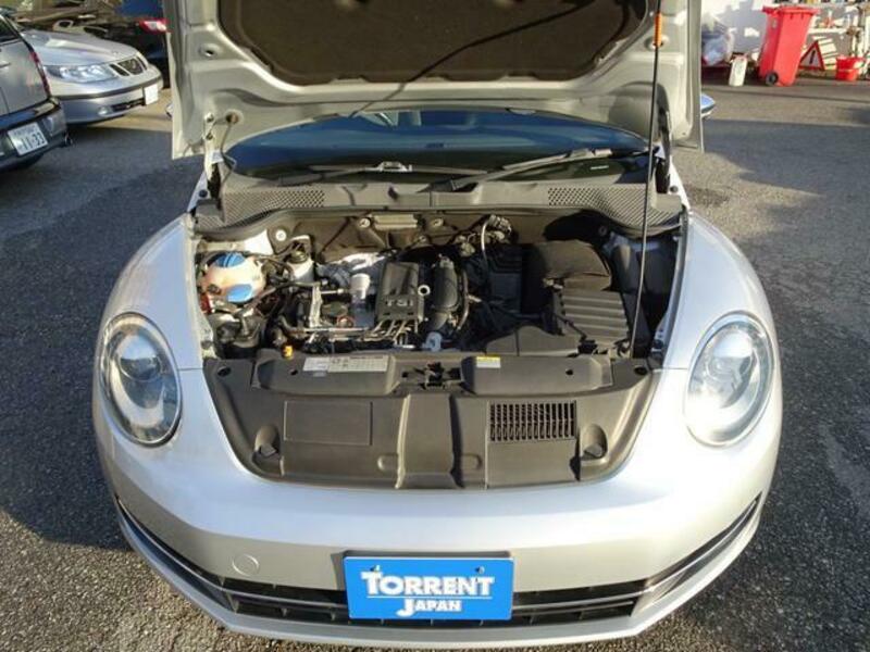 THE BEETLE