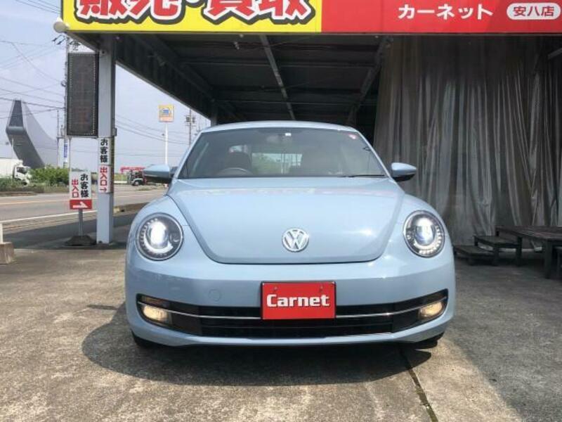 THE BEETLE