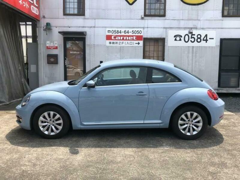 THE BEETLE