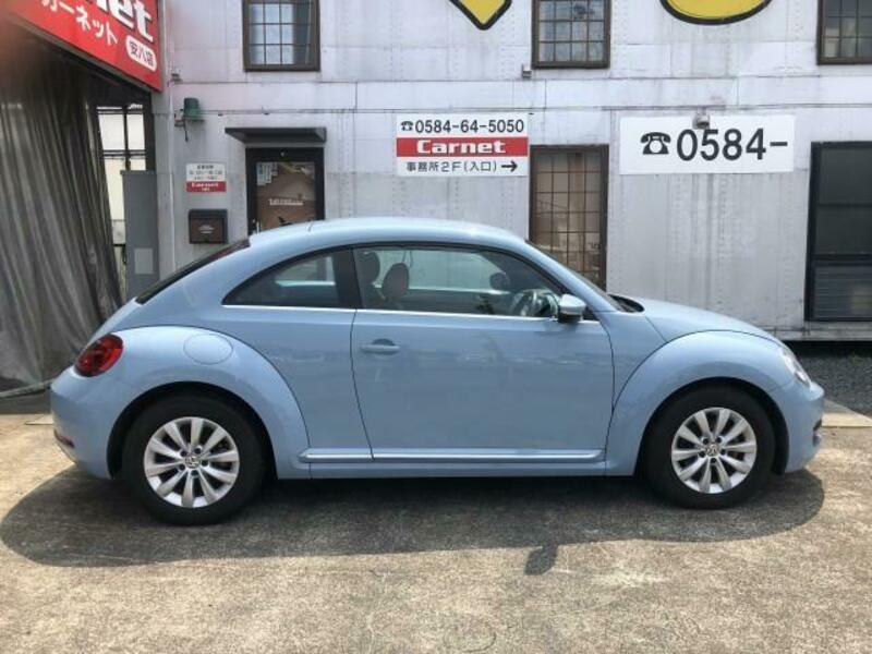 THE BEETLE