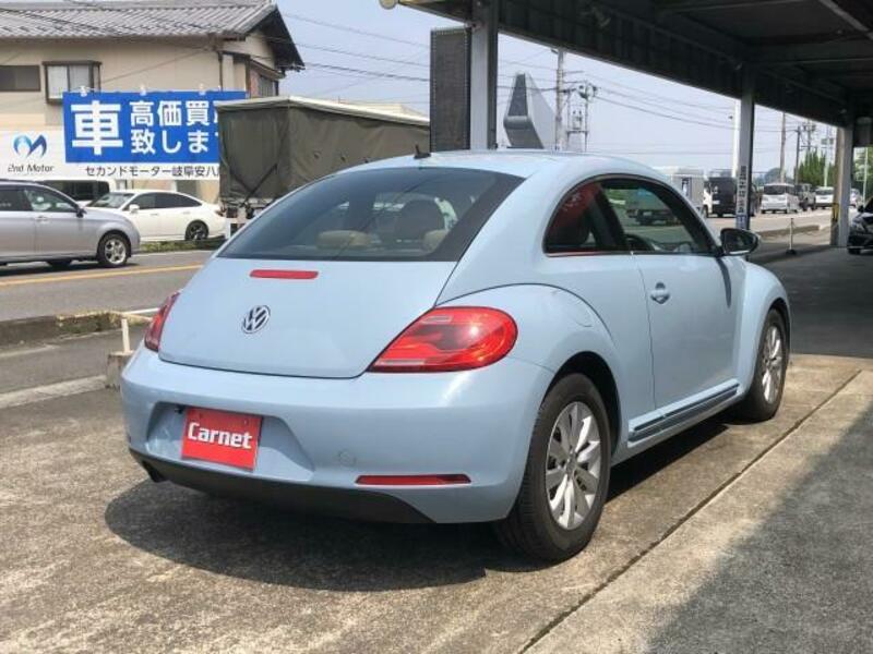 THE BEETLE
