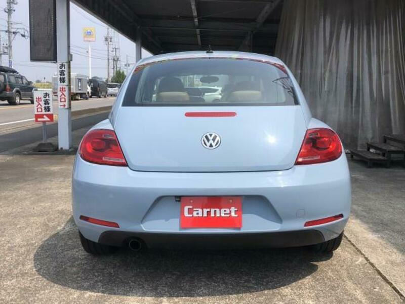 THE BEETLE