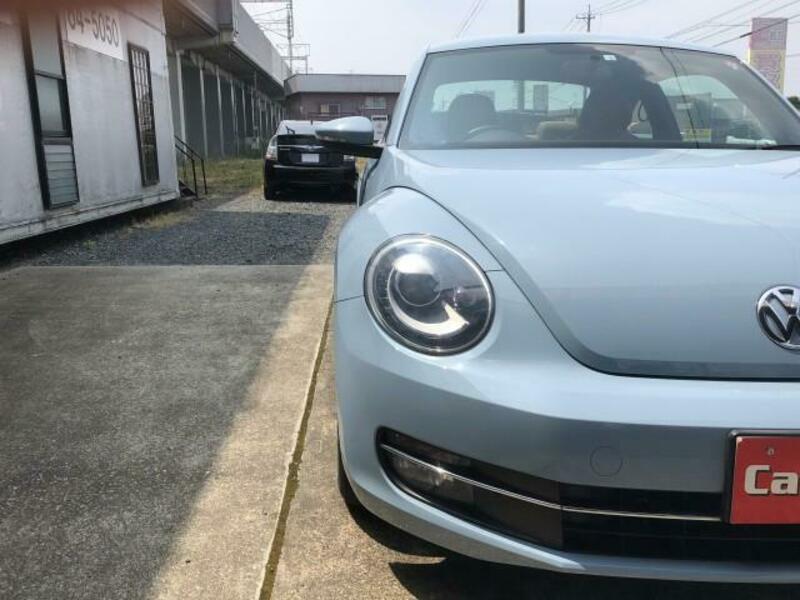 THE BEETLE