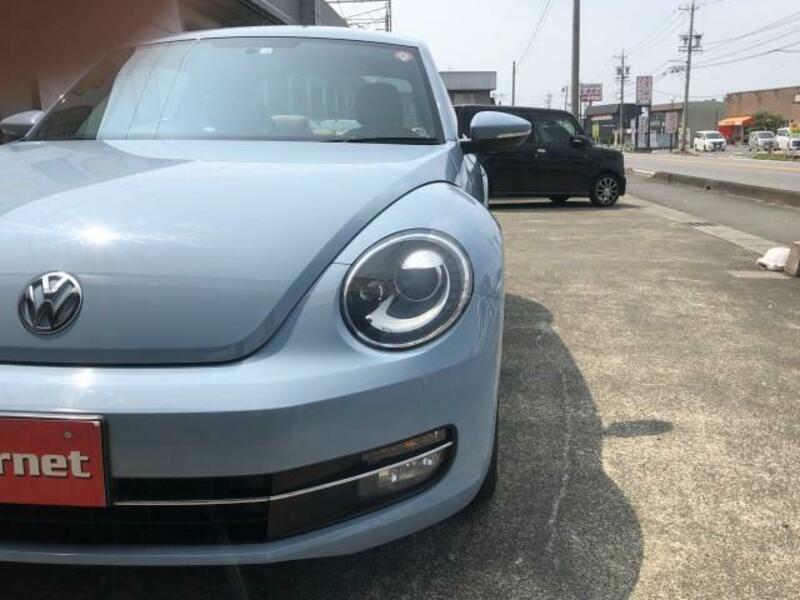 THE BEETLE