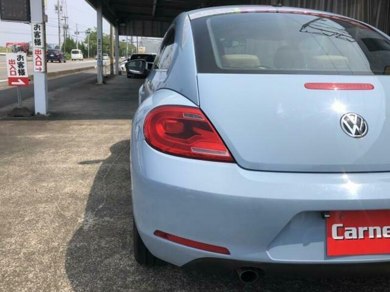 THE BEETLE