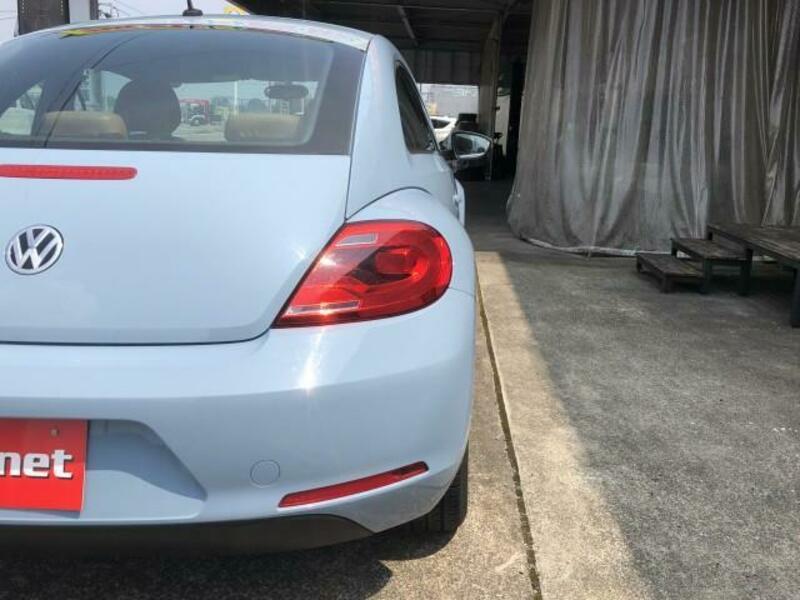 THE BEETLE