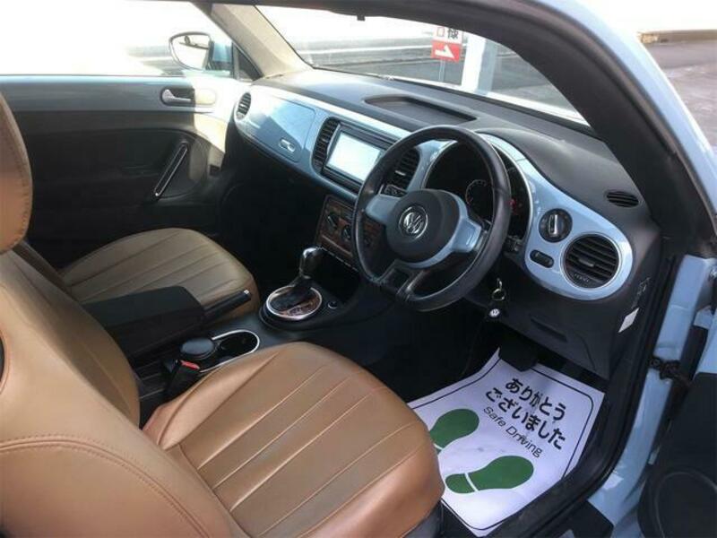 THE BEETLE