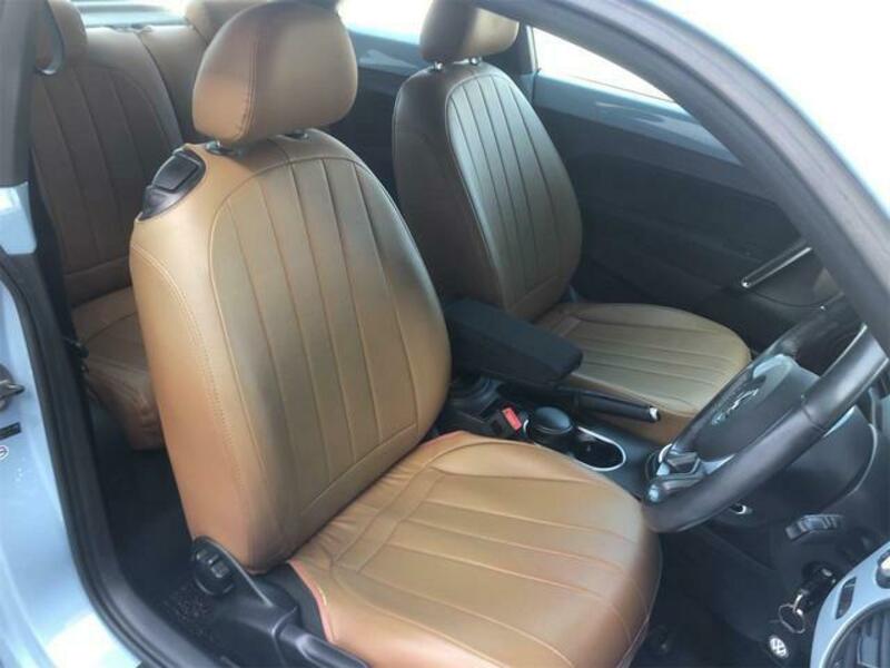 THE BEETLE