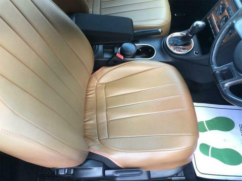 THE BEETLE