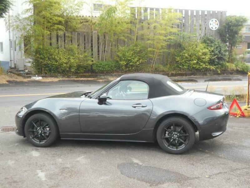ROADSTER