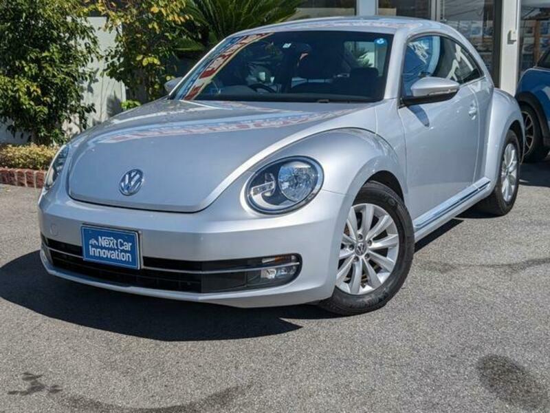 THE BEETLE