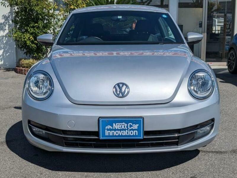 THE BEETLE