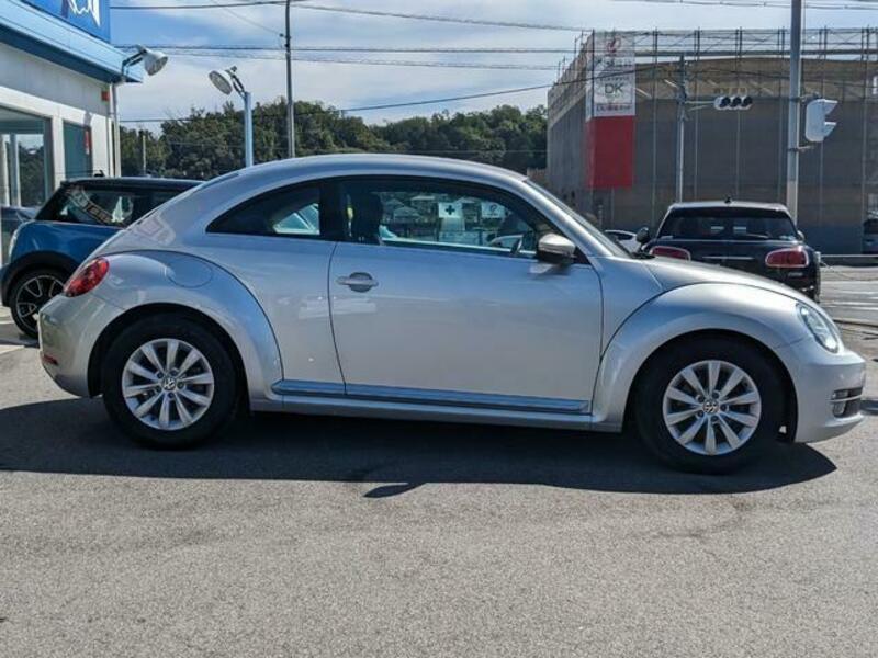 THE BEETLE