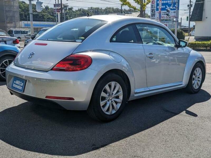 THE BEETLE