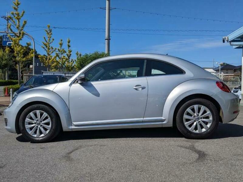 THE BEETLE