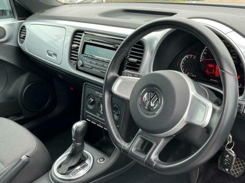 THE BEETLE
