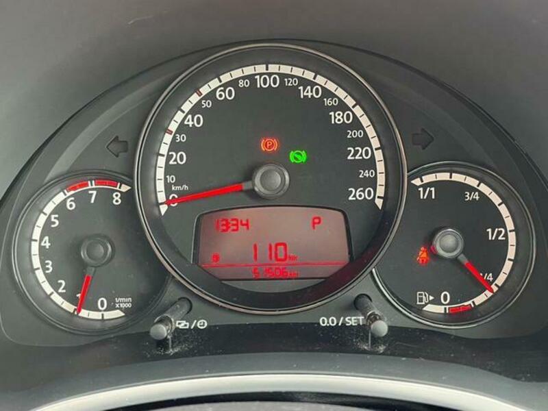 THE BEETLE
