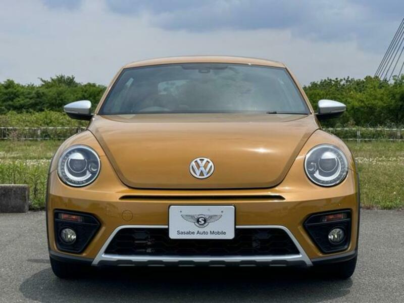 THE BEETLE