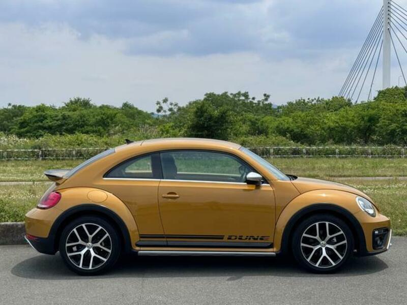THE BEETLE