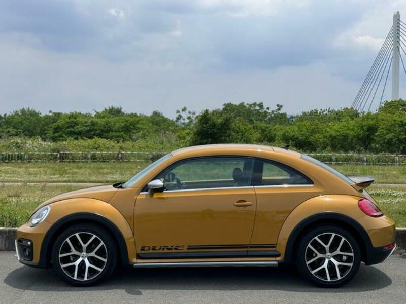 THE BEETLE