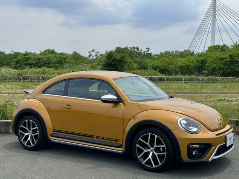 THE BEETLE