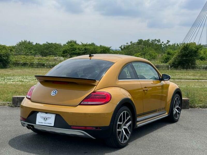 THE BEETLE
