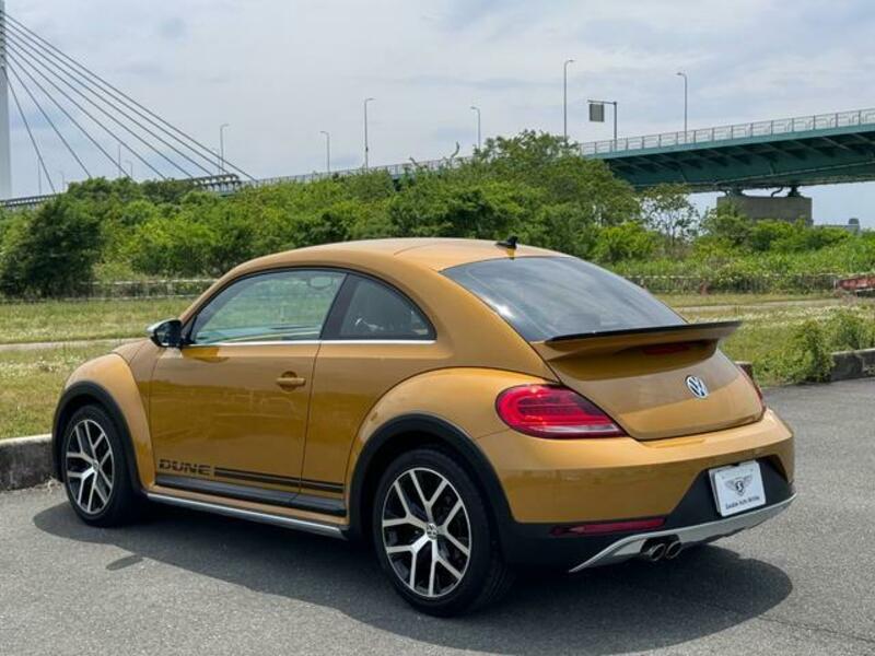 THE BEETLE