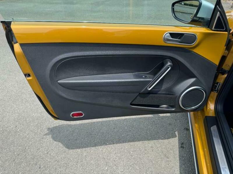 THE BEETLE