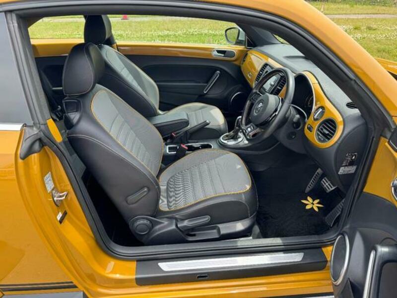 THE BEETLE