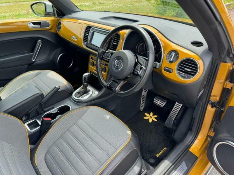 THE BEETLE