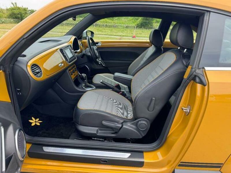THE BEETLE