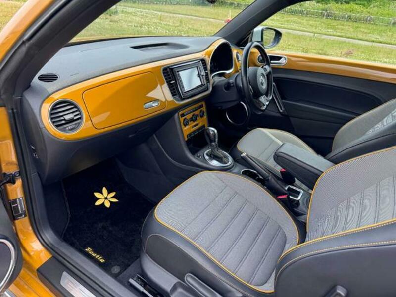 THE BEETLE
