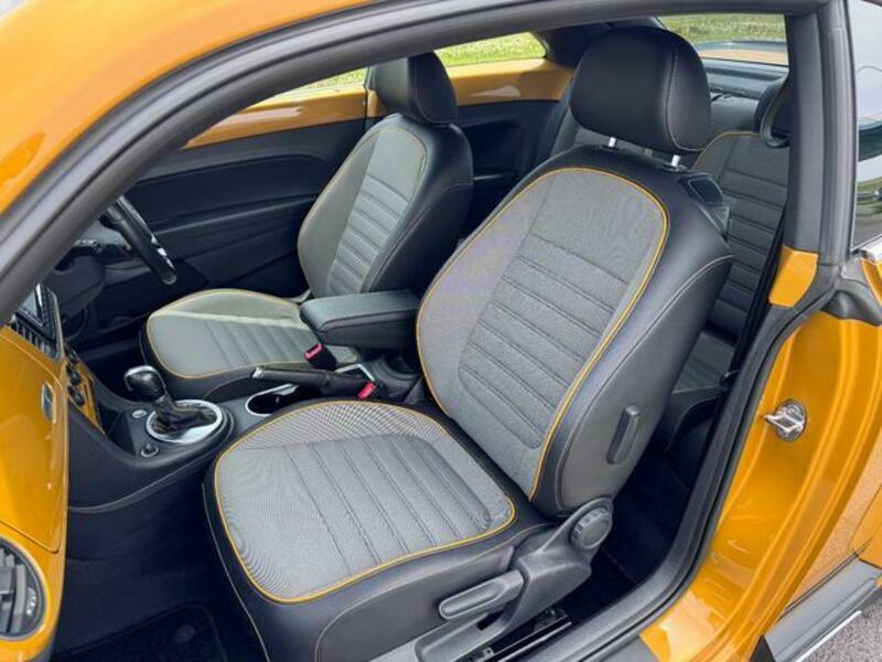 THE BEETLE