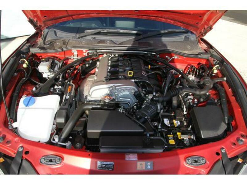 ROADSTER RF