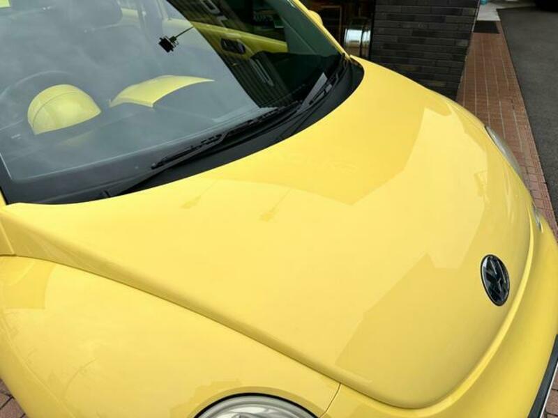 NEW BEETLE