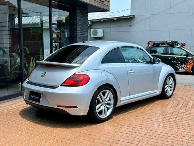 THE BEETLE