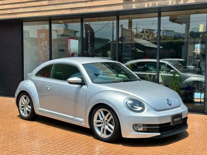 THE BEETLE