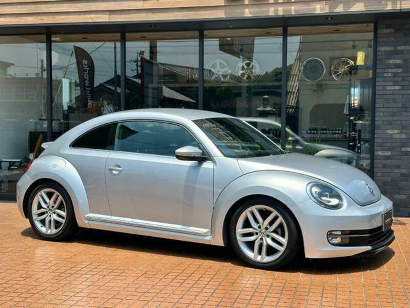 THE BEETLE