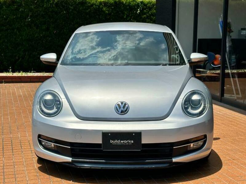 THE BEETLE